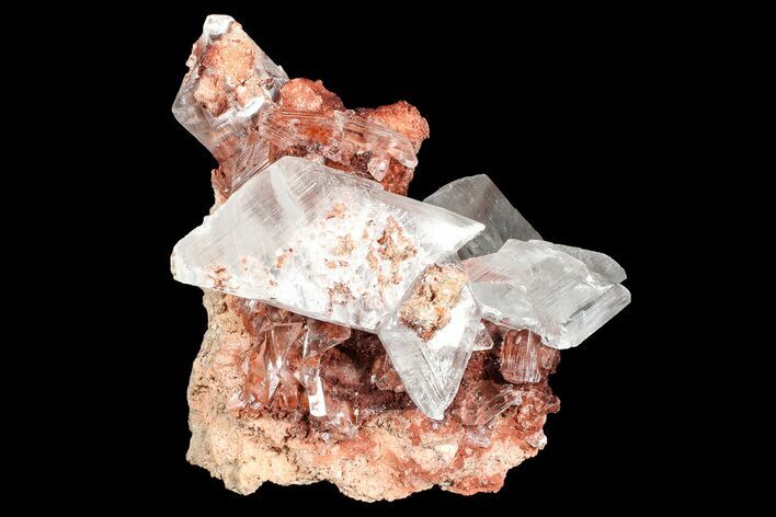 Glassy Selenite Crystals on Matrix - Naica Mine, Mexico #372185